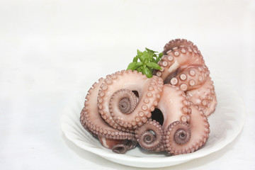 Boiled octopus on white plate