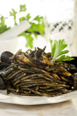 ink squid spaghetti-pasta nero di seppia