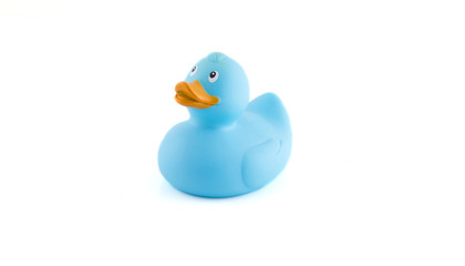 Rubber duck