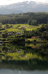 Reflections in Hardangerfjord at Ulvik, Norway