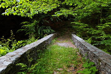 Brücke im Wald