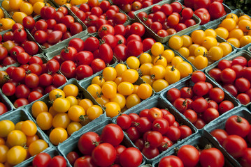 Ripe, red and yellow tomatoes in boxes