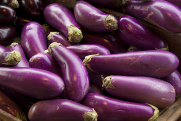Eggplants in farmer's market stand