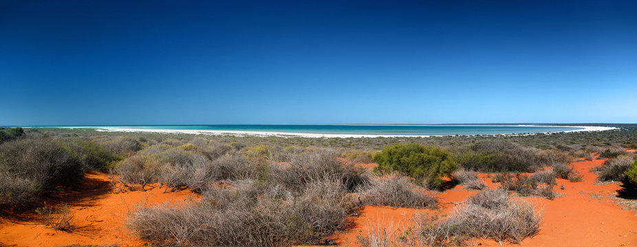 Shark Bay