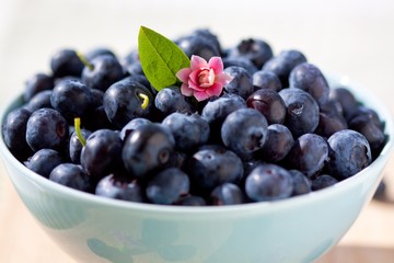 closeup of bilberry in ceramic bowl