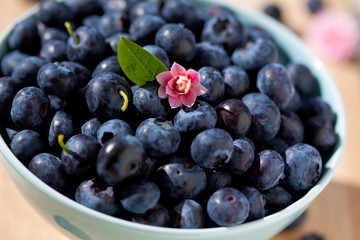 closeup of fresh bilberries