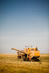 Fototapeta premium Yellow combine harvester working in a wheat field