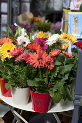 Fototapeta na wymiar Street shop with colorful flowers