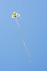 fly kite