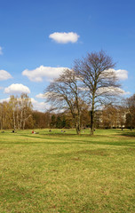 Tiergarten center city park