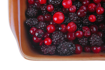 wild berry