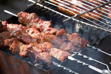 Barbecue Sticks With Meat on grill