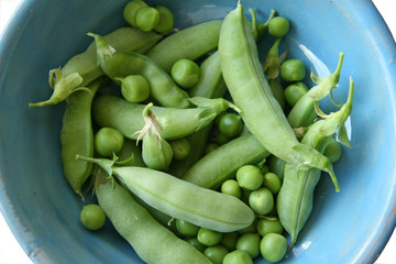 Fresh Garden Peas