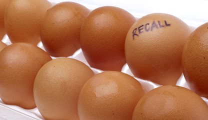 Egg Recall