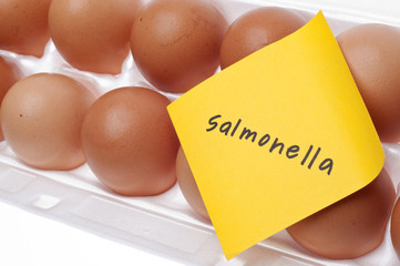 Eggs Can Carry Salmonella Concept