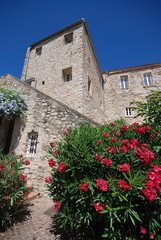 House wall with Flowers in france