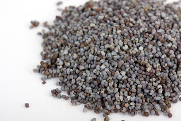 Poppy Seeds (Papaver Somniferum) on white background