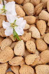 Almond nuts