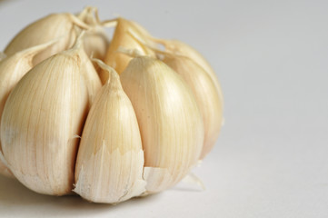 Garlic