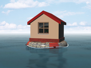 house on life buoy