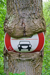 Baum frisst Schild