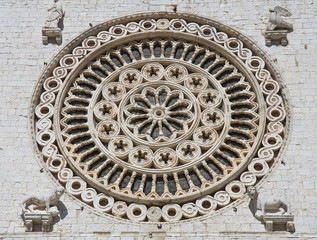 Rose window. St. Francesco Basilica. Assisi. Umbria.