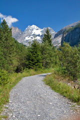 Fototapeta na wymiar mountain path with snowed peaks at background