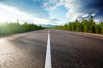 road in forest