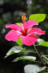 Philippines  Coron Island