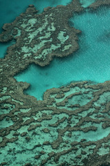 Fototapeta na wymiar Wielka Rafa Koralowa