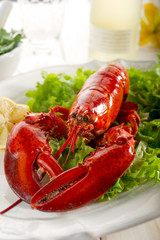 whole lobster with salad - aragosta e insalata