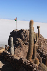Isla Incahuasi o Isla de los Pescadores