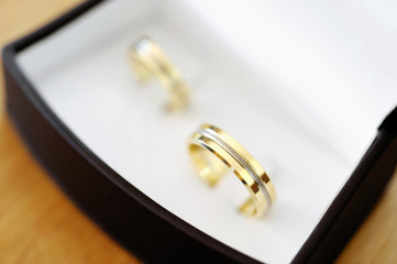 Two gold wedding rings