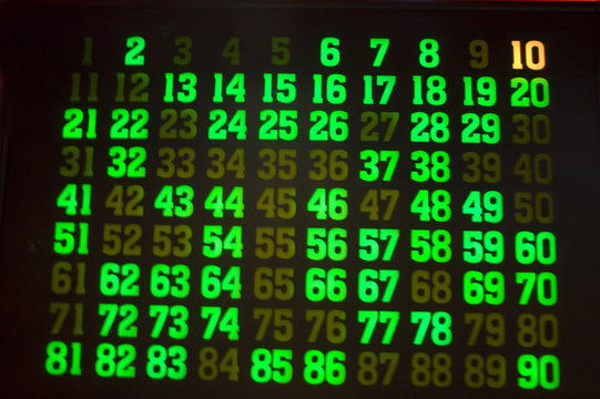 Juego de Bingo 334