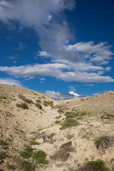 The hills in the desert