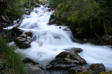 Le Miage dans les Gorges de la Gruvaz