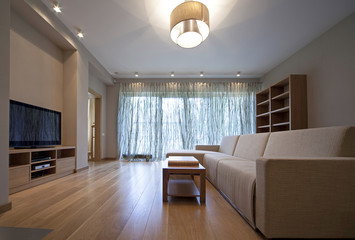 Designer living room