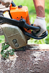 Lumberjack cutting the log of wood with petrol chainsaw