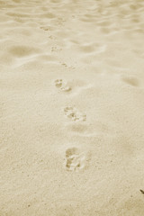 Fototapeta na wymiar Background from sand. Desert. A beach