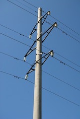 electric post