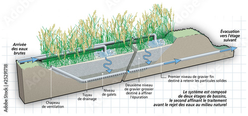 assainissement lagunage