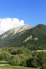 Naklejka premium spring in alpine valley
