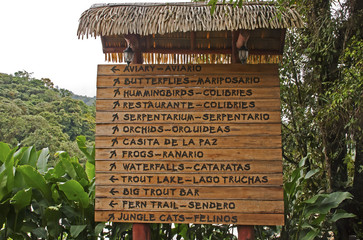 Sign of Flora and Fauna in jungle