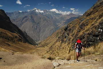 Chemin de l'inca du Machu Picchu - obrazy, fototapety, plakaty
