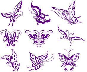 Naklejka na ściany i meble butterfly illustration