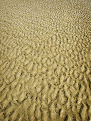 Sand Pattern on the Beach from the Waves