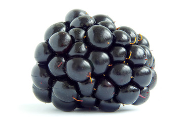 blackberry