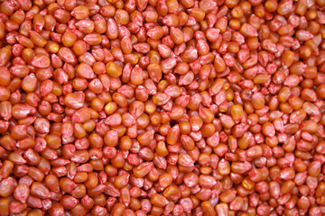 Corn