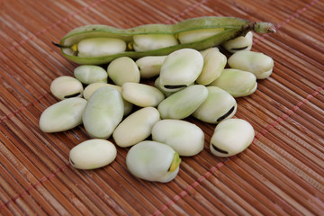 broad bean