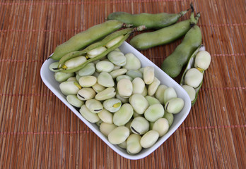 broad bean